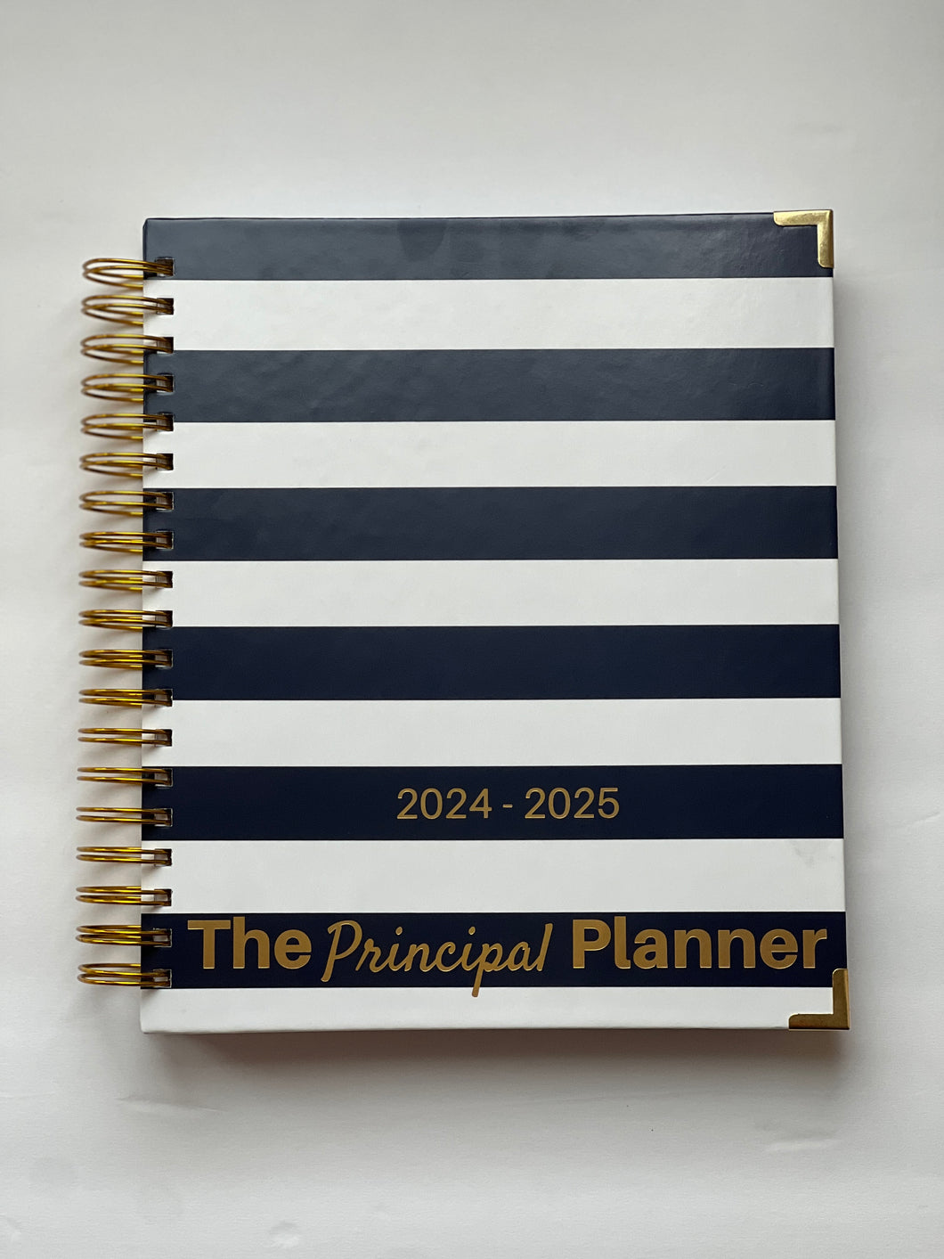 2024-2025 Principal Planner